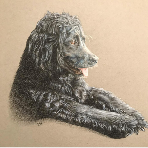 Drawing of my dog joey