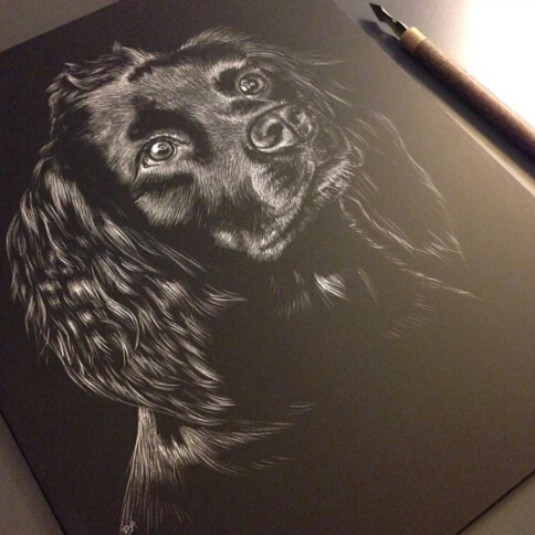 Scratchboard etching of my dog joey
